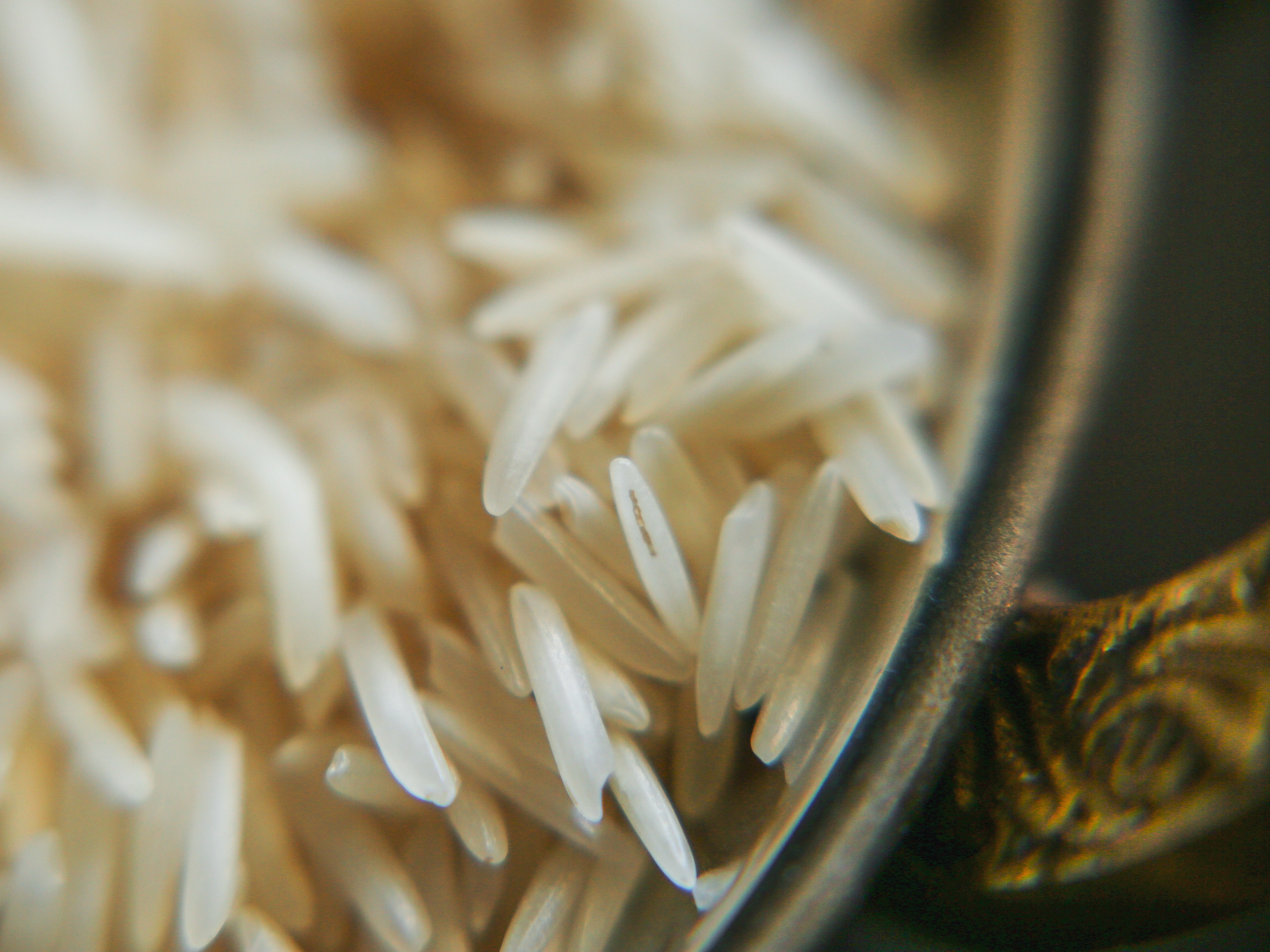 4DA8B859-65E9-42C9-BB0B-3FF6D8A2C028